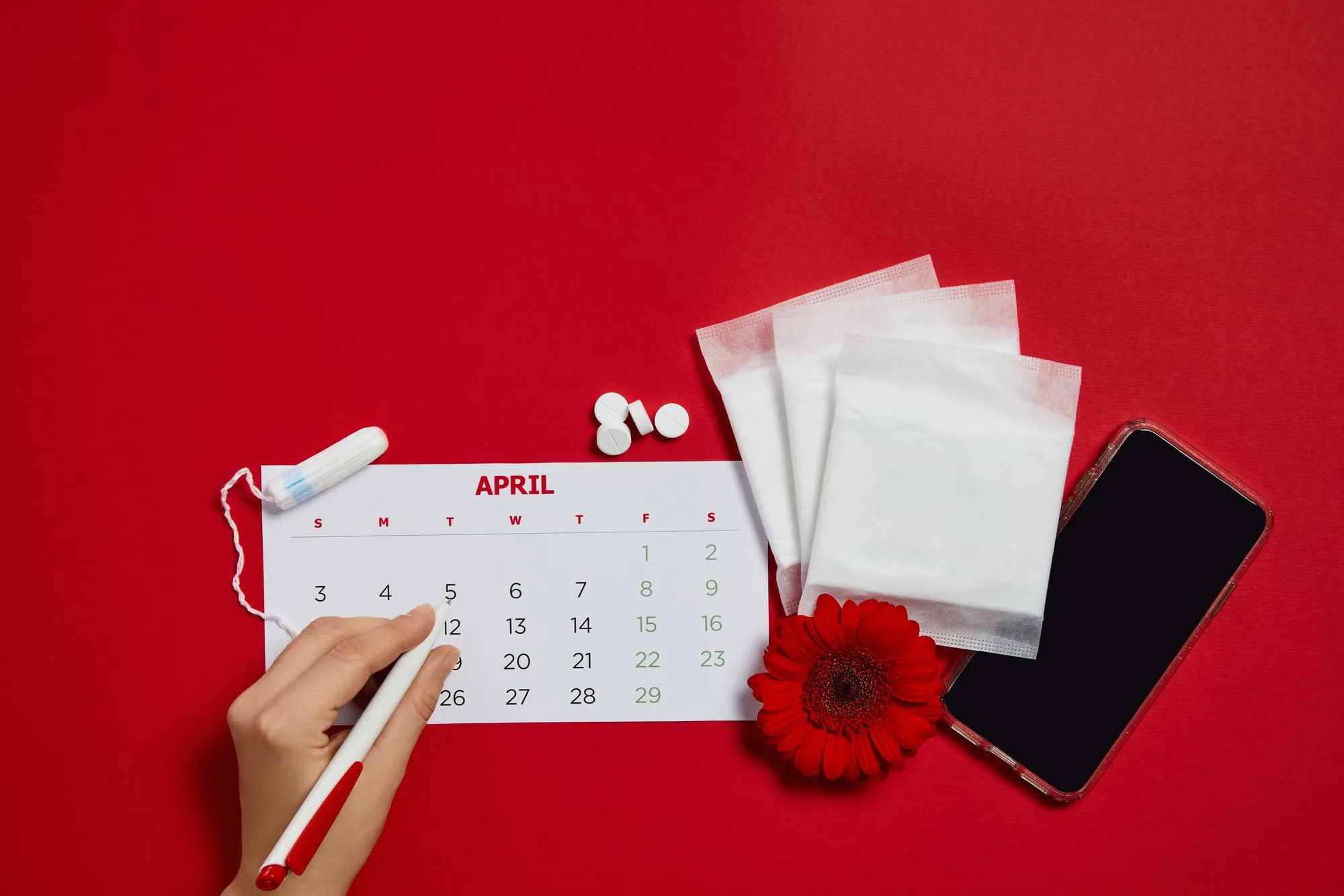 Illustration du cycle menstruel et des règles chez la femme