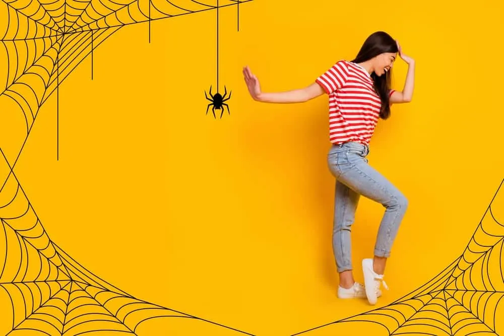 Découvrez des astuces naturelles pour repousser les araignées de votre maison